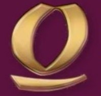 symbol q wu long slot