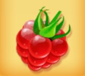 symbol raspberry berry bonanza slot