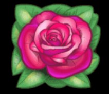 symbol rose true love slot