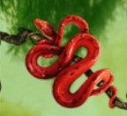 symbol snake secrets of the amazon slot