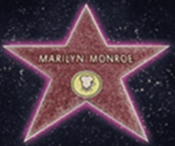symbol star marilyn monroe slot