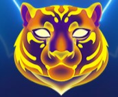 symbol tiger midnight wilds slot