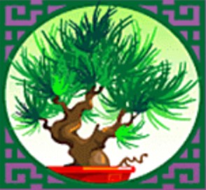 symbol tree geisha story slot