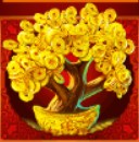 symbol tree ri ri sheng cai slot