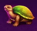symbol turtle dragon bond slot