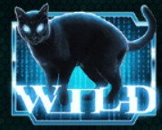 symbol wild cat the matrix slot