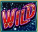 symbol wild savannah cash slot