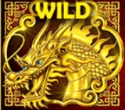 symbol wild yun cong long slot