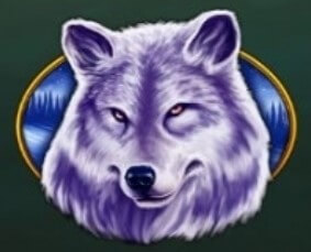 symbol wolf big bear slot