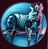 symbol zebra safari heat slot