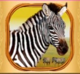 symbol zebra savannah cash slot