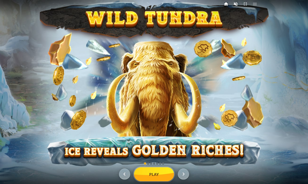 Wild Tundra Free Spins