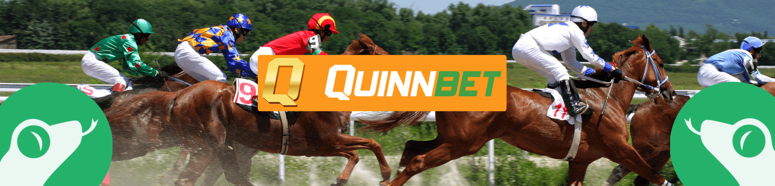 quinbet betting offer for existing customer