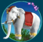 symbol elephant thai paradise slot
