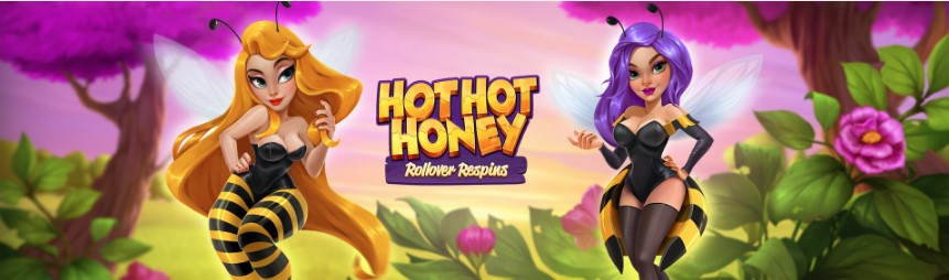 Hot Hot Honey Banner