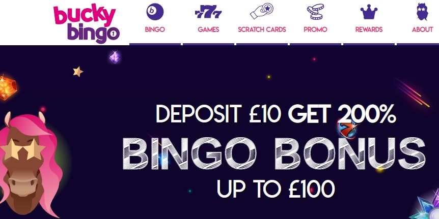 bucky bingo casino review