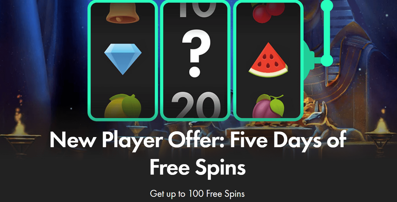 bet365 free spins
