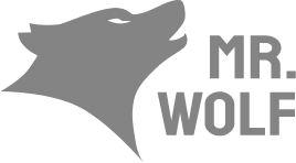 Mr Wolf Slots Review 2023