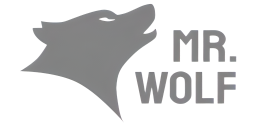 Mr Wolf Slots promo code