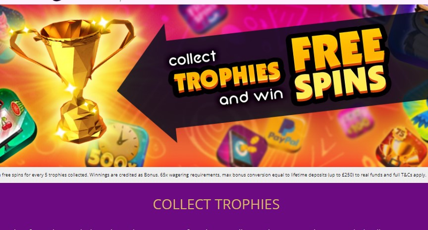 charmingbingo-collect-trophies