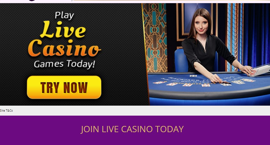 charmingbingo-join-live-casino-today