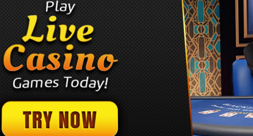 dearbingo live casino