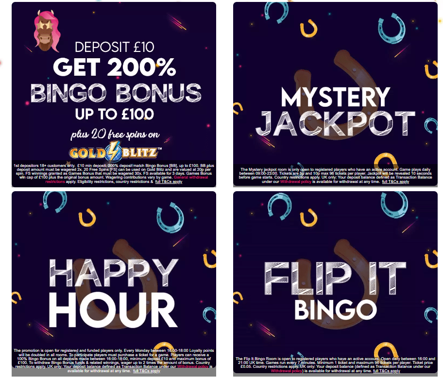 bucky bingo promo code offers