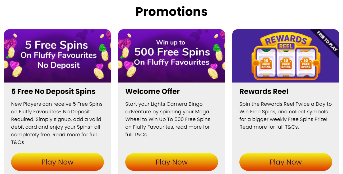 lights camera bingo promo code offers