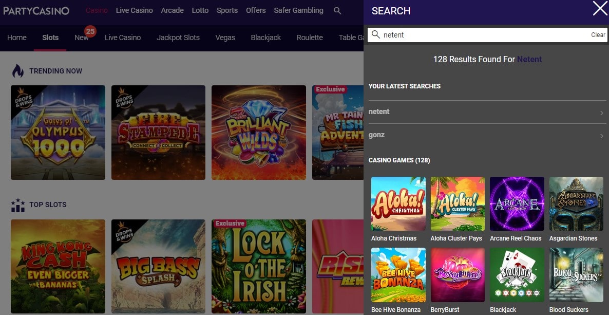 party casino interface and usability