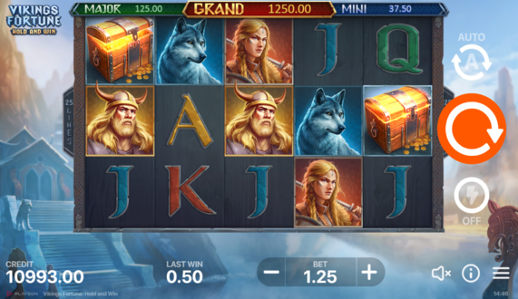 Vikings Fortune: Hold and Win Free Spins